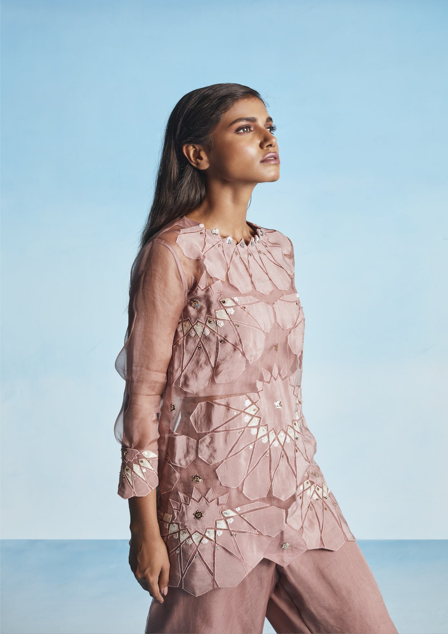 Old Rose Organza Sharara Set