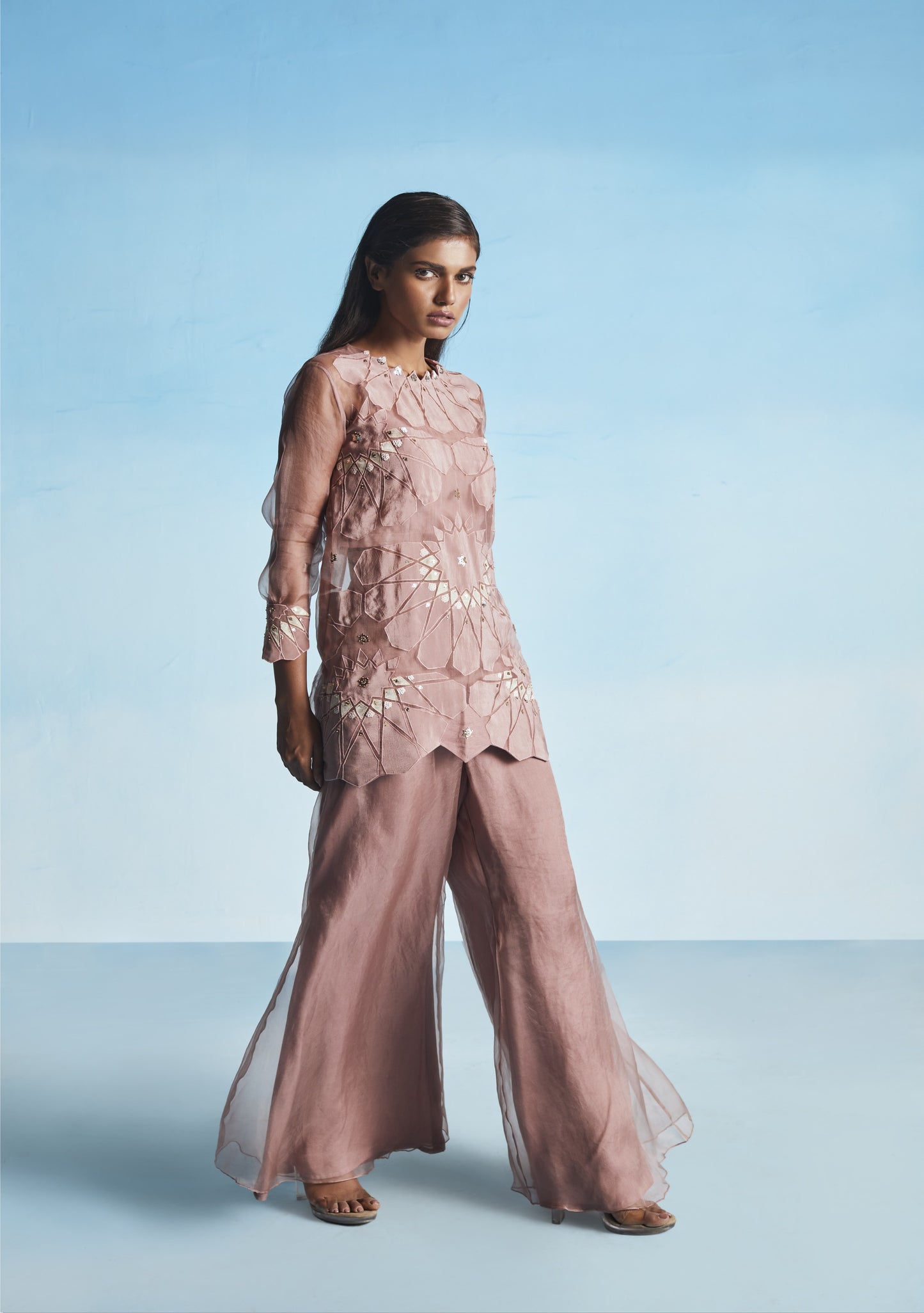 Old Rose Organza Sharara Set