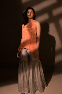 Salmon pleated top with organza pants